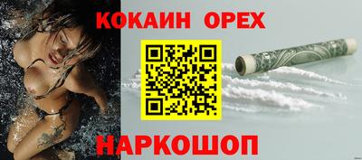 apvp Можга