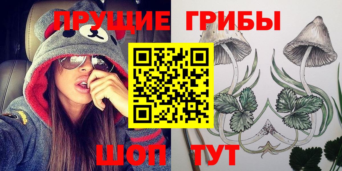 Волхов  Псилоцибиновые грибы Psilocybe  хочу наркоту  Вход с VPN 