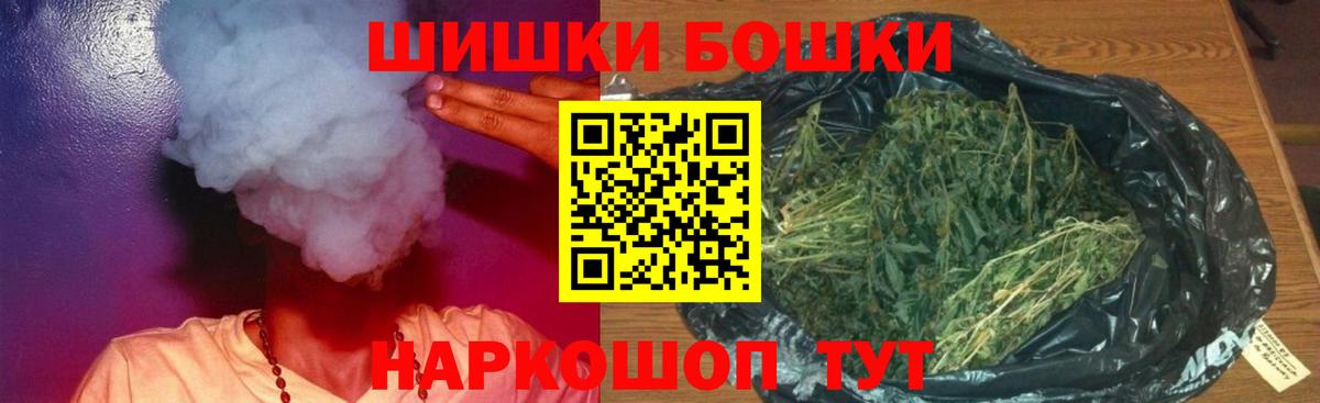Бошки Шишки планчик Волхов